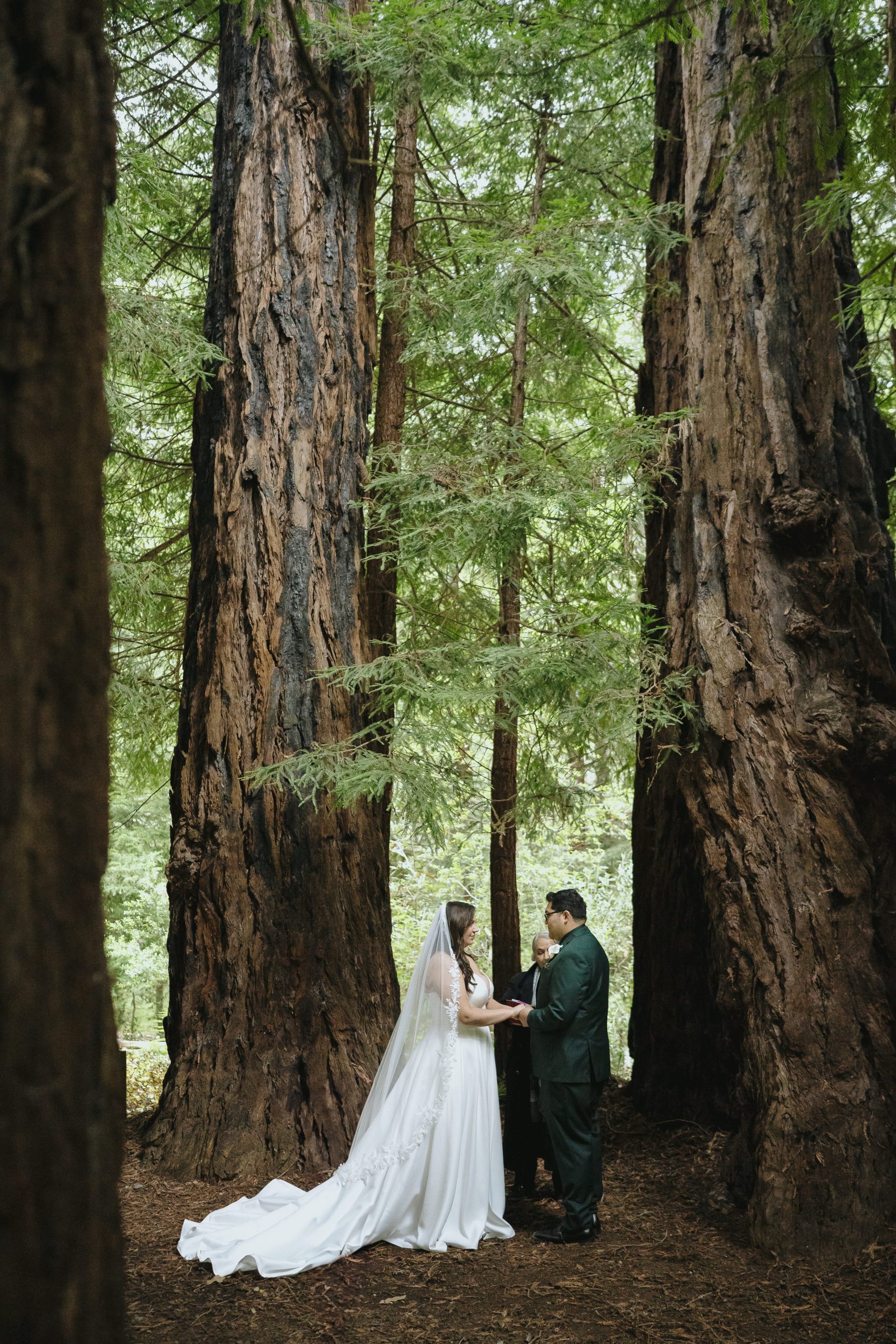 Couple exchange vows during a forest elopement ceremony beneath towering redwood trees, standing between two massive tree trunks as an officiant leads the ceremony.