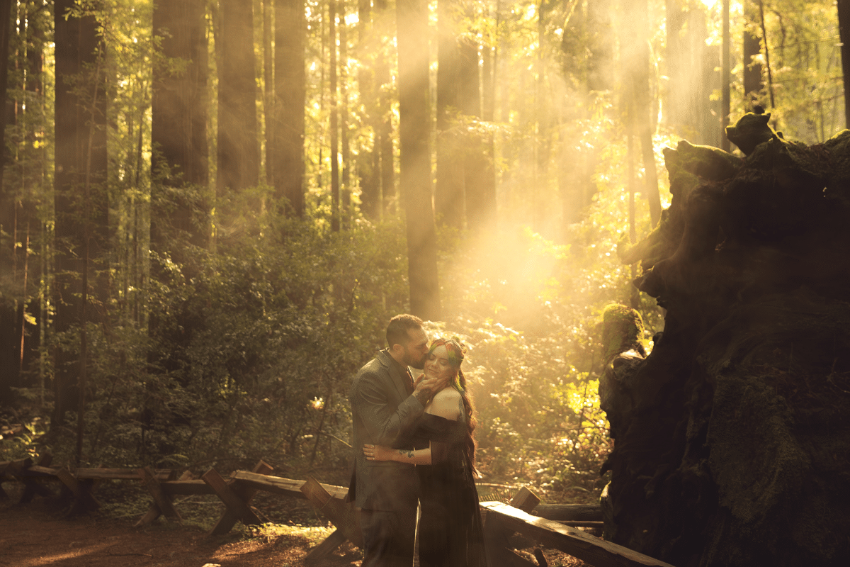 A groom in a grey suit kissing a bride in a black wedding dress on the forehead during their redwood forest elopement. They are standing in a grove of giant trees with bright, ethereal sunlight streaming through the branches and a moss-covered log in the foreground.